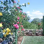 Apartament Roze *