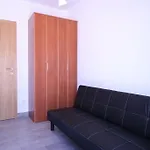 Roze Čižići