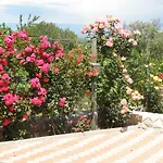 Apartament Roze Čižići