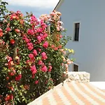 Roze Čižići