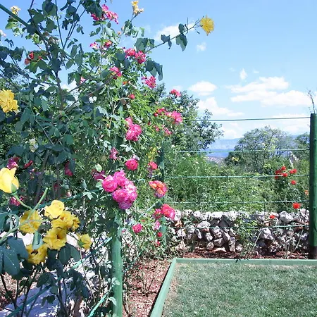 Apartment Roze *