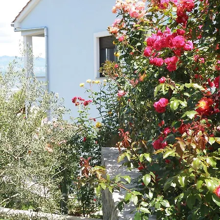 Apartment Roze