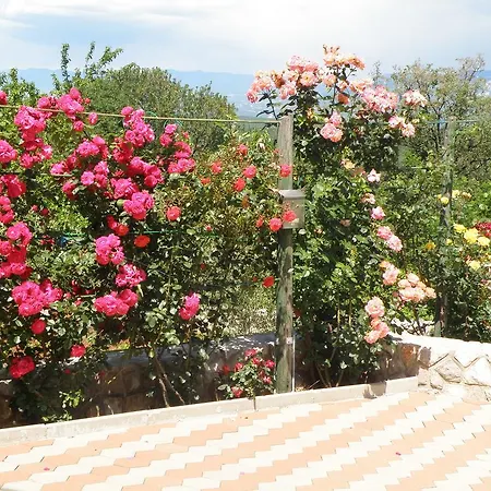 Apartment Roze Cizici