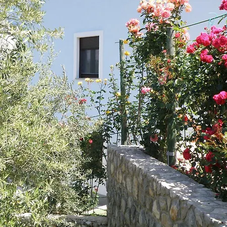 Apartment Roze