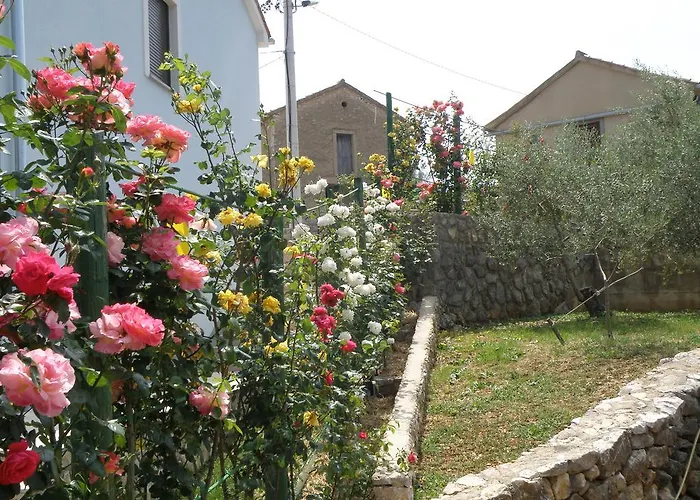 Apartman Roze Cizici