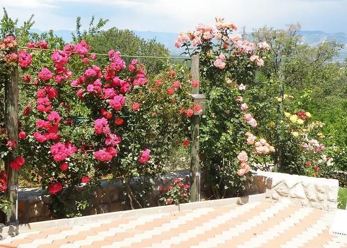 Apartman Roze Cizici